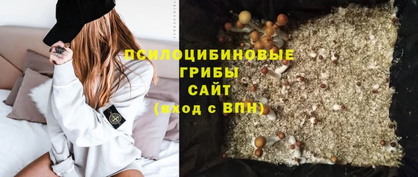 ГАЛЛЮЦИНОГЕННЫЕ ГРИБЫ Алексин