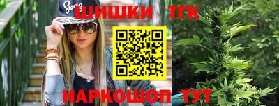 индика Славгород
