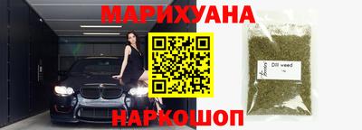 индика Славгород
