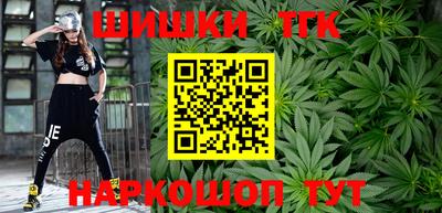 индика Славгород