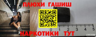 индика Славгород