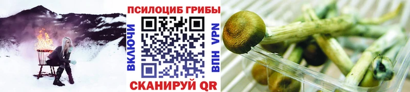 Галлюциногенные грибы ЛСД Чистополь