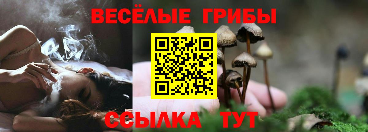 Чистополь  Галлюциногенные грибы мицелий  дарнет шоп  Вход с VPN  Псилоцибиновые грибы MAGIC MUSHROOMS 